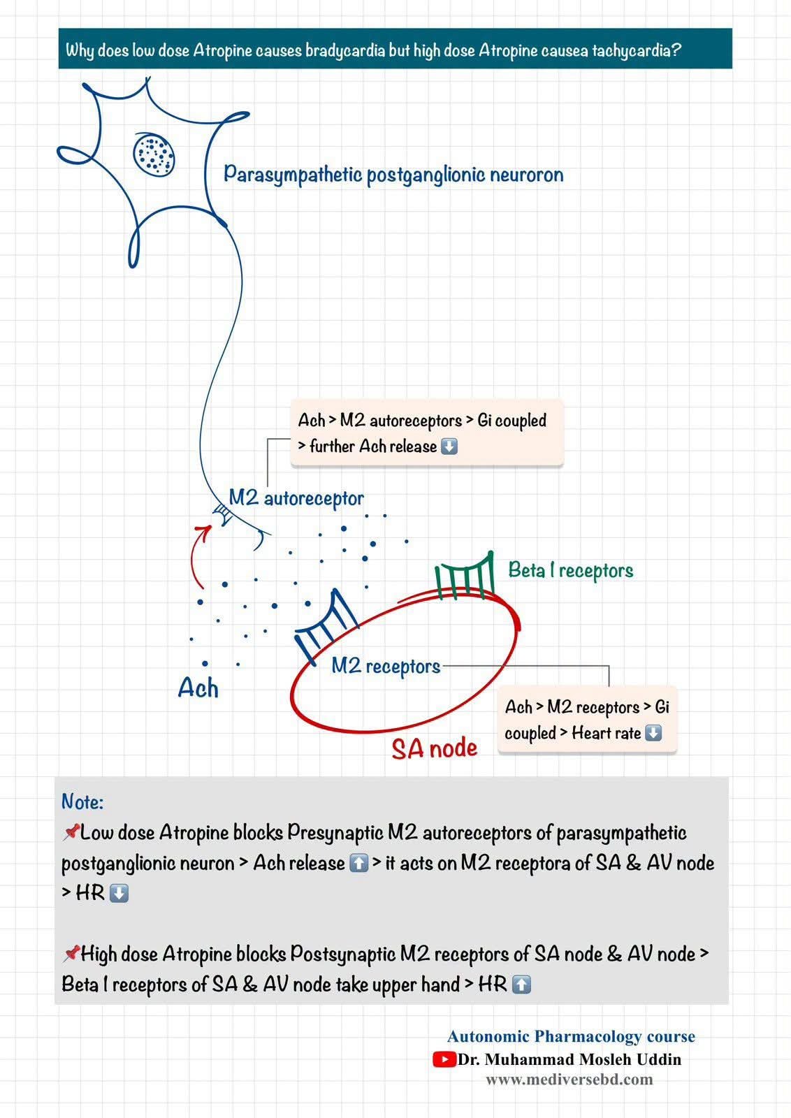 Effects of Atropine on Heart rate