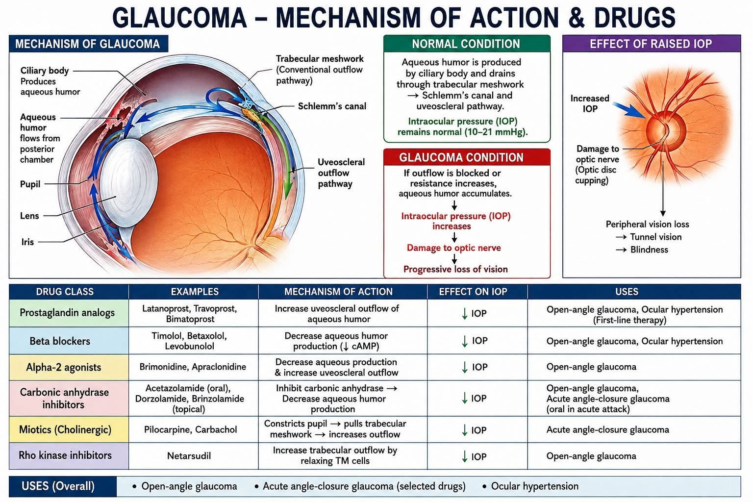 Drugs for Glaucoma