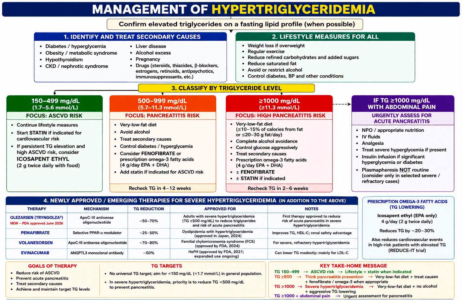 Management of Hypertriglyceridemia