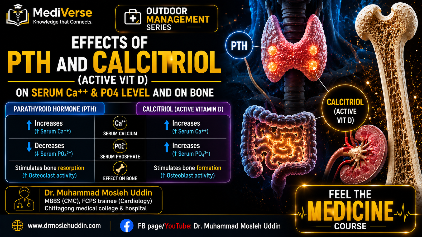 Effects of PTH and Calcitriol (active vit D) on serum Ca++ & PO4 level and on Bone