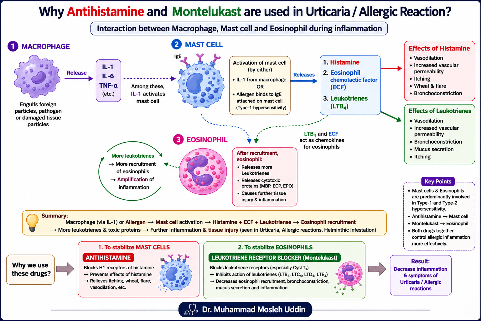 কেন আমরা Urticaria বা allergic reaction এ Antihistamine and Montelucast দুটোই prescribe করি?